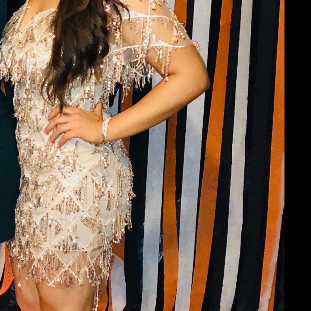 COPY - 1920s Flapper dress
